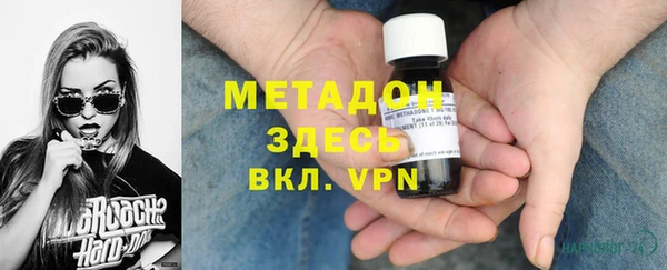 прущие грибы Белокуриха