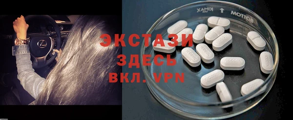 прущие грибы Белокуриха