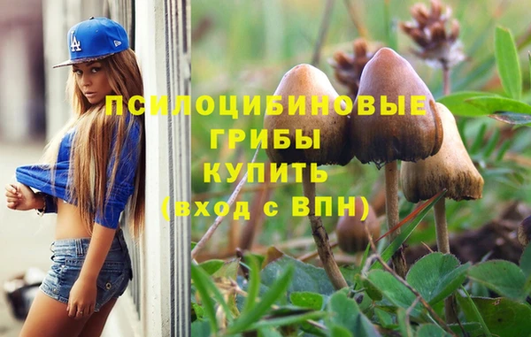 прущие грибы Белокуриха