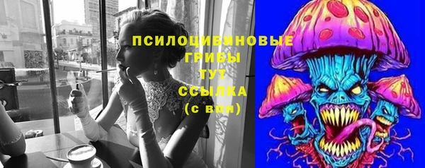 spice Беломорск