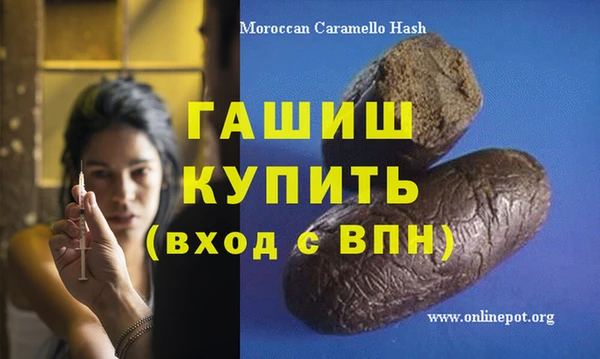 прущие грибы Белокуриха