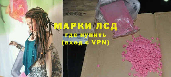 прущие грибы Белокуриха