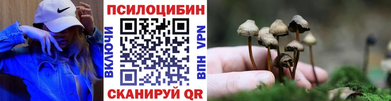 Галлюциногенные грибы Psilocybe  магазин продажи наркотиков  Бодайбо 