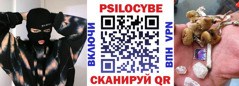 Псилоцибиновые грибы Psilocybine cubensis Бодайбо